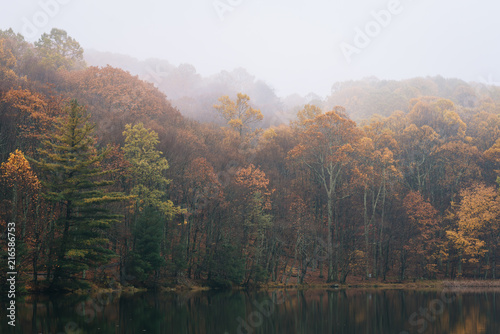 Fall color and fog at Peaks of Otter Lake, on the Blue Ridge Parkway in Virginia