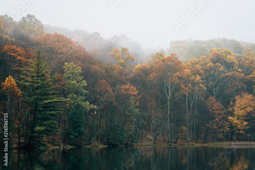 Fall color and fog at Peaks of Otter Lake, on the Blue Ridge Parkway in Virginia