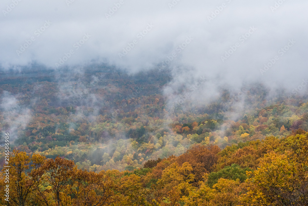 Foggy autumn view from the Blue Ridge Parkway, in Virginia. Foggy autumn view from the Blue Ridge Parkway, in Virginia.