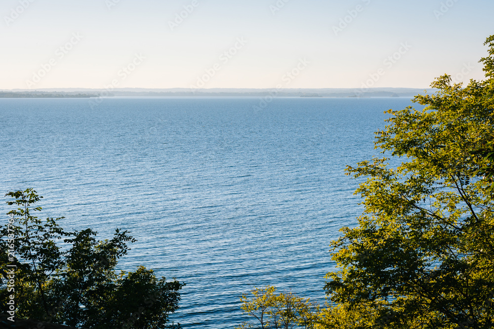 Trees and a view of the Chesapeake Bay at Elk Neck State Park, Maryland