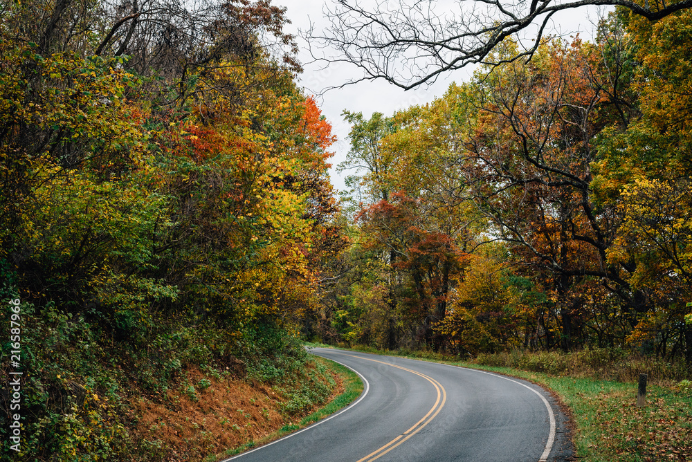 Autumn color along Skyline Drive in Shenandoah National Park, Virginia
