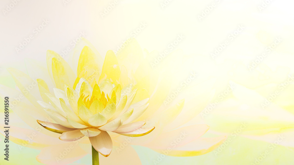 sweet color lotus in soft color and blur style on mulberry paper texture