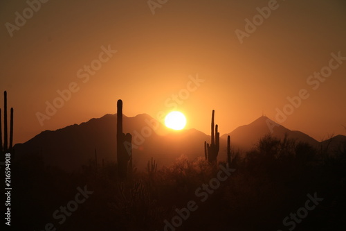 Sunrise over the Desert 3