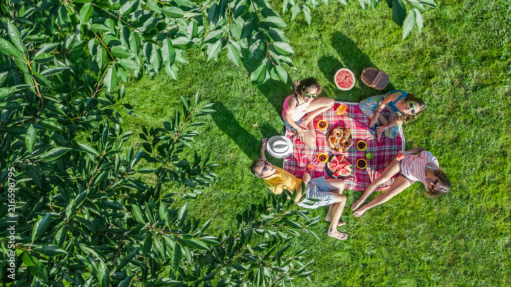 Happy family having picnic in park, parents with kids sitting on grass and eating healthy meals outdoors, aerial view from above
