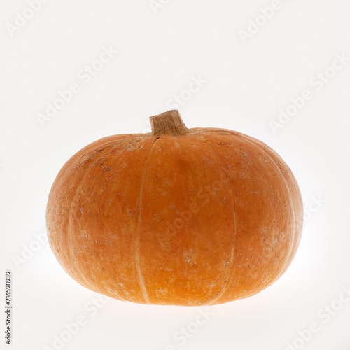 vegetables pumpkin fresh, natural product with no preservatives on a white background, zucchini