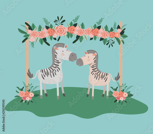 baby shower card with cute zebras couple vector illustration design