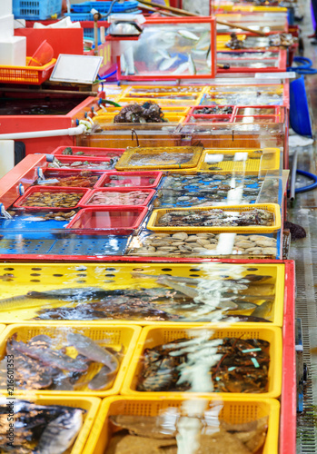 Live and freshly caught seafood at fish market photo