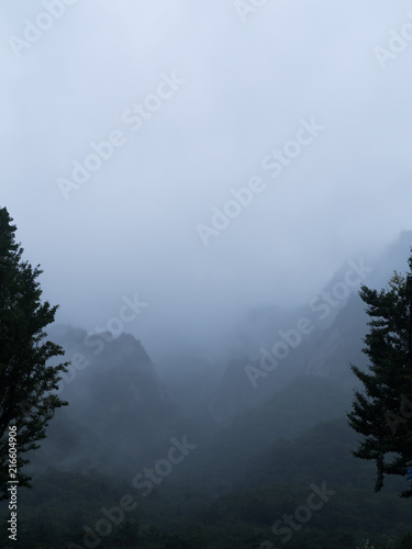 nature forest mountain view landscape © Artlooking