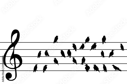 Abstract music stave with birds