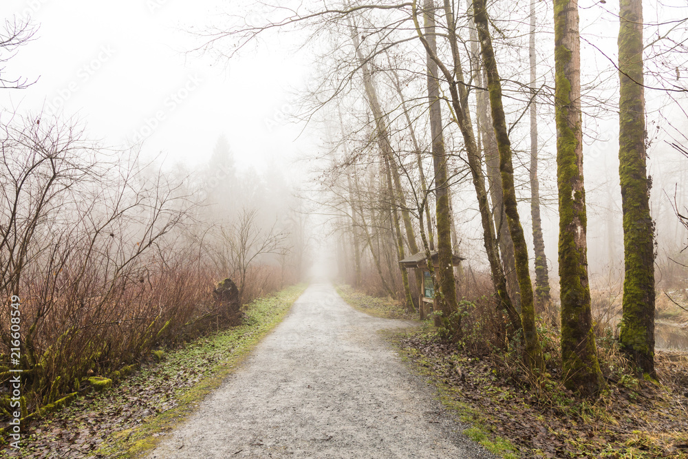 Fototapeta premium foggy morning on a hiking trail