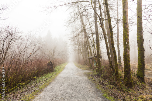 foggy morning on a hiking trail