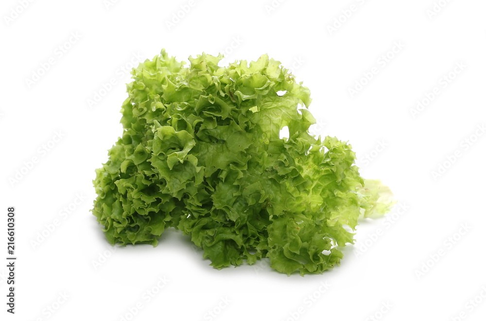 Fresh lettuce leaves isolated on white Fresh lettuce leaves isolated on white