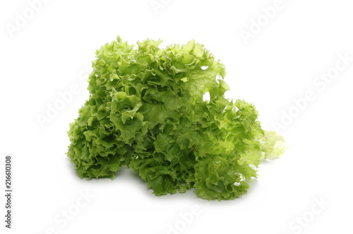 Fresh lettuce leaves isolated on white