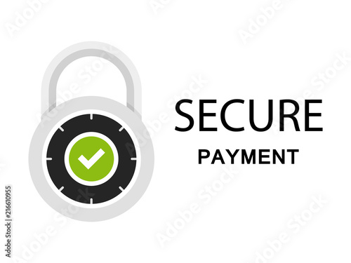 Secure Payment Icon SSL Encryption Transaction Safe Pay Money Vector