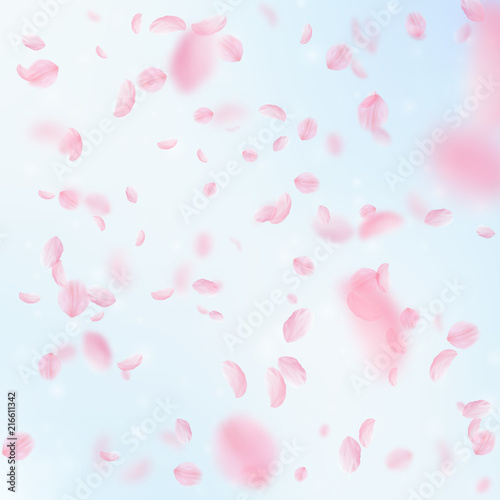 Sakura petals falling down. Romantic pink flowers falling rain. Flying petals on blue sky square bac