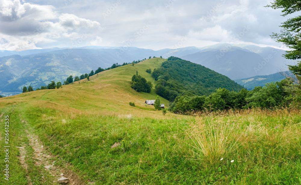 Glade on mountain crest with forest on slopes in Carpathians Glade on mountain crest with forest on slopes in Carpathians