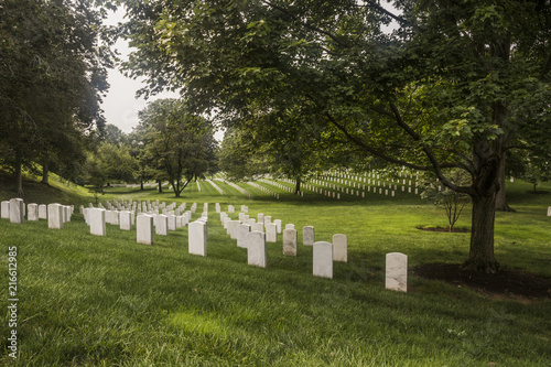 Thousands of headstones line the ground at Arlington Cemetery, Washington DC