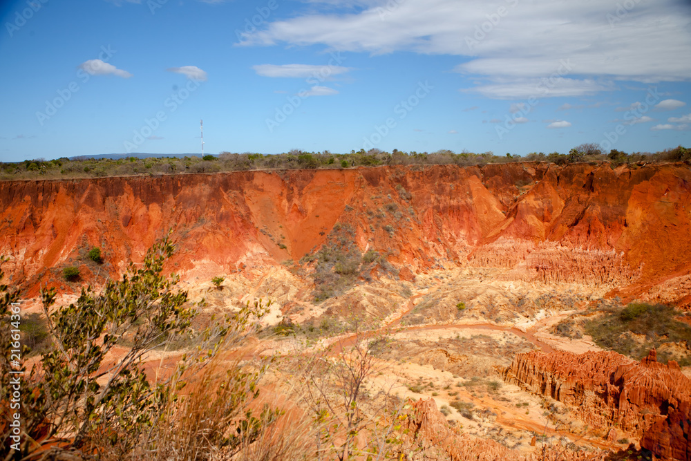 Obraz premium Madagaskar