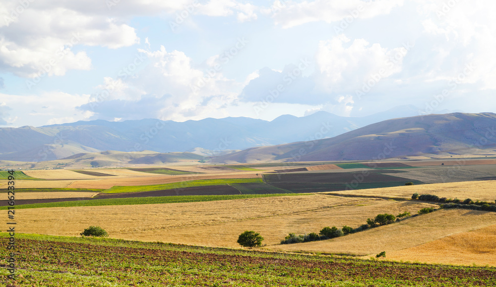 Fototapeta premium Panoramic background of beautiful yellow-green fields with blue sky and clouds - sunny day in Kahramanmaras, Turkey.