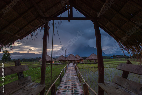 Beautiful landscape nature green Terraced Rice Field of Rainy Season and hut on Mountain in nature,Chiang Dao, Chiang Mai, Thailand