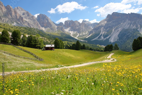Puez Odle mountain range viewed from Raiser Pass above Santa Cristina with colorful flowers and a mountain hut in the foreground, Val Gardena, Dolomites, Italy photo