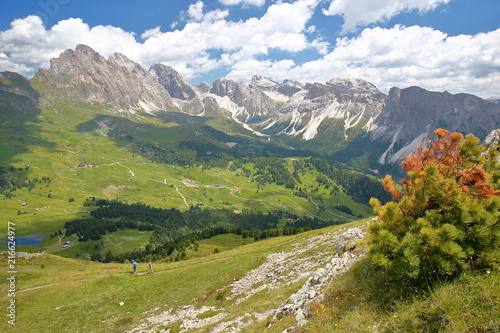 Puez Odle mountain range viewed from Mount Pic (above Raiser Pass), Val Gardena, Dolomites, Italy