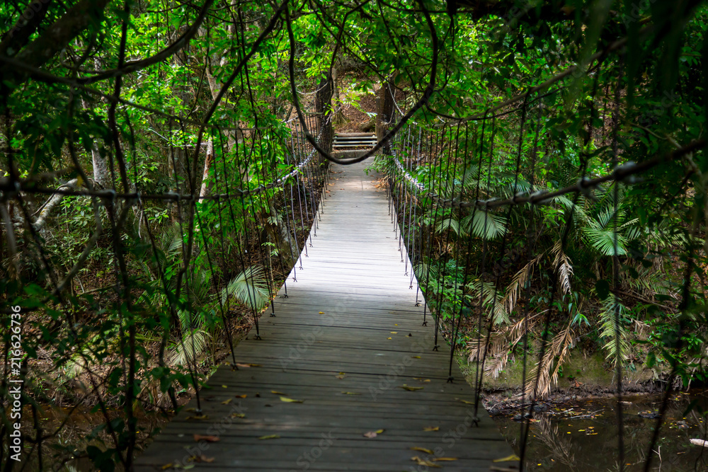 Suspension bridge across the canal in Khao Yai National Park, Thailand Suspension bridge across the canal in Khao Yai National Park, Thailand