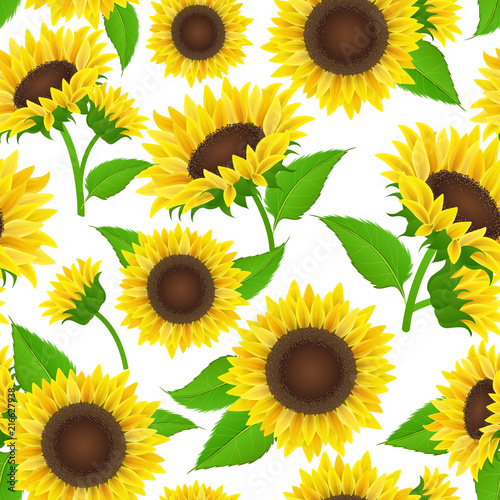 Sunflower seamless pattern with yellow flower, bud and green leaf. Vector illustration background texture for summer and autumn design, isolated on white