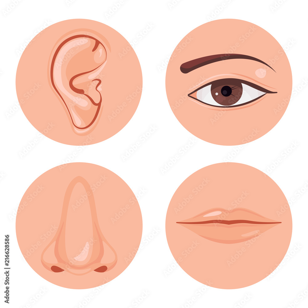 Human nose icon Human nose icon