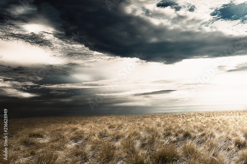 Grassland with dark cloudscape