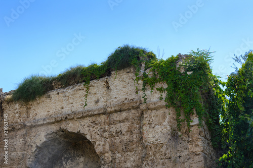 background stone wall of limestone shell rock of an ancient building with arched niche covered with green loam.