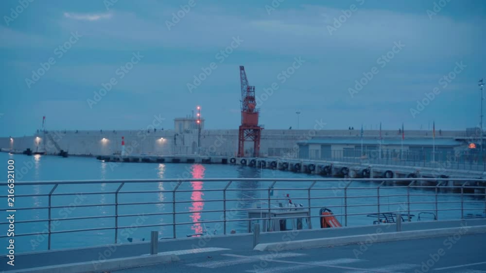 Grue port de Nice