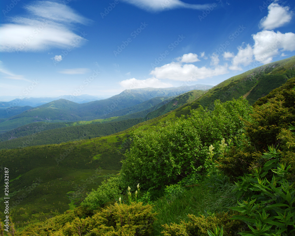 Obraz premium Mountain landscape in summer