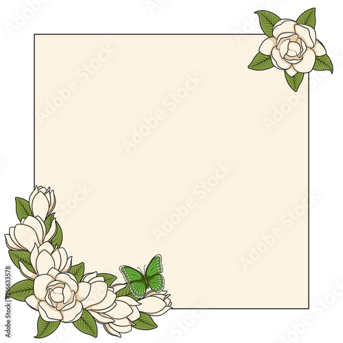 Frame with magnolia flowers and a butterfly. Isolated vector objects on a white background.