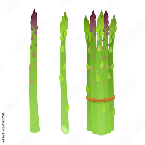Bright vector collection of colorful cartoon asparagus isolated on white