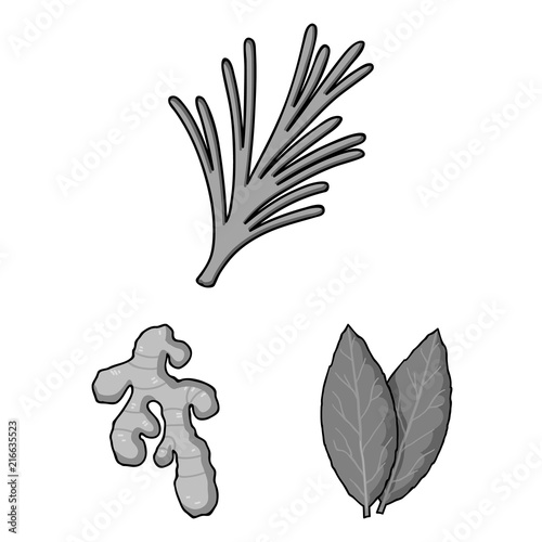 Herb and spices monochrome icons in set collection for design.Different kinds of seasonings vector symbol stock web illustration.