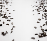 Sunflower seeds scattered over white background