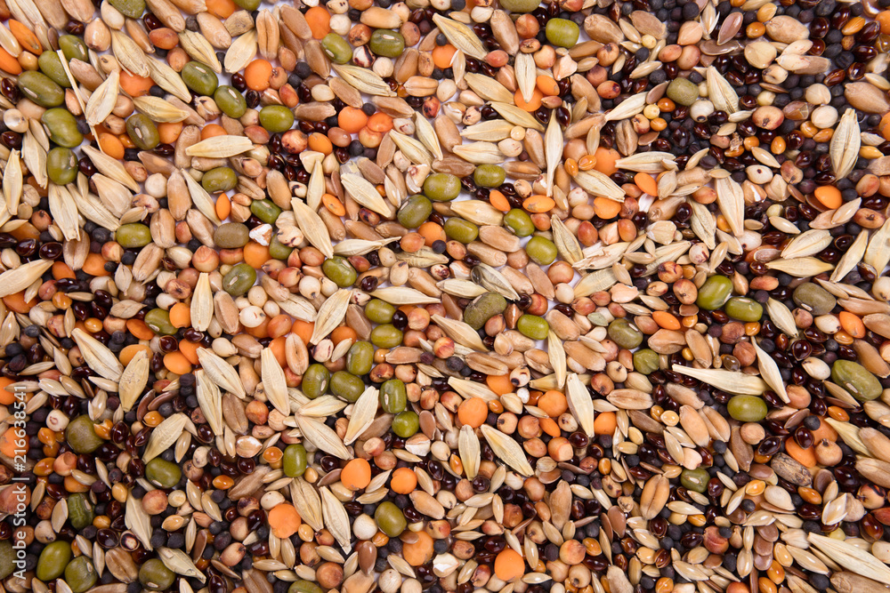 Top view close up of a different beans and seeds on a white background Top view close up of a different beans and seeds on a white background