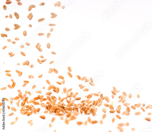 Stop motion wheat grains splash or falling flying from the air on the surface on white background. Food object design concept.