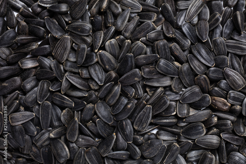 Macro view of natural organic sunflower seeds on background Macro view of natural organic sunflower seeds on background
