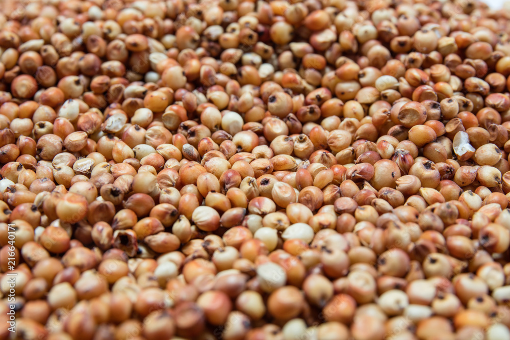 Macro view of natural organic kidney soya beans on background Macro view of natural organic kidney soya beans on background