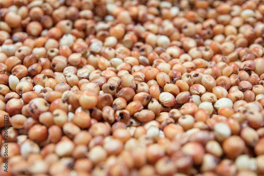 Macro view of natural organic kidney soya beans on background