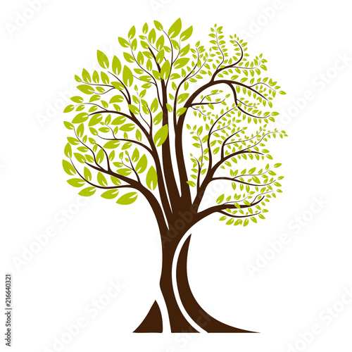 Green tree silhouette. Isolated on white background. Vector