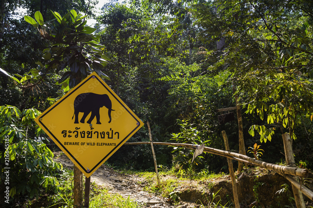 Warnschild vor Elefanten