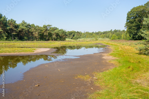 Drying dutch natural lake in summer time