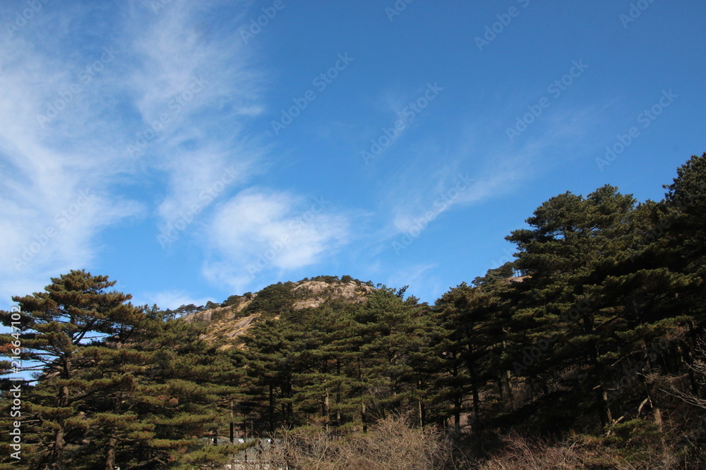 Avatar mount,China