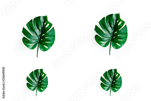 Monstera leaf collage on white concrete background.