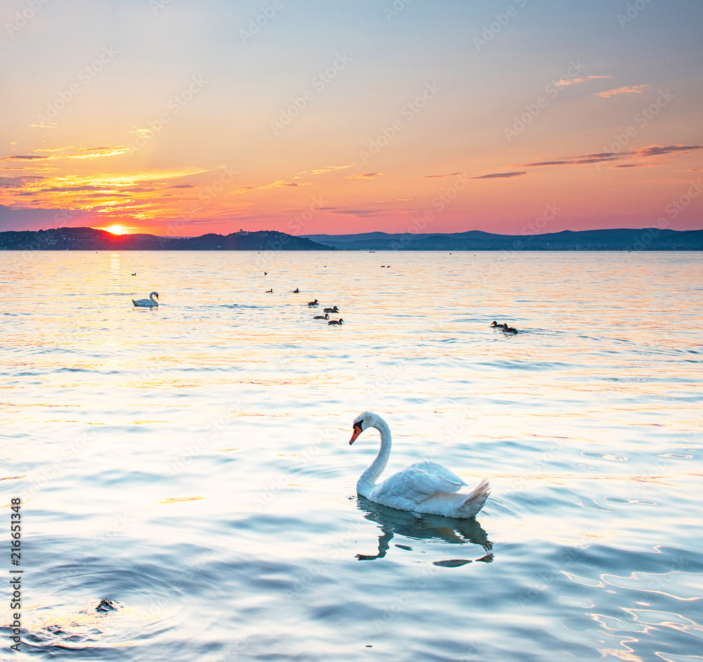 Fototapeta premium Sunset over lake Balaton in summer