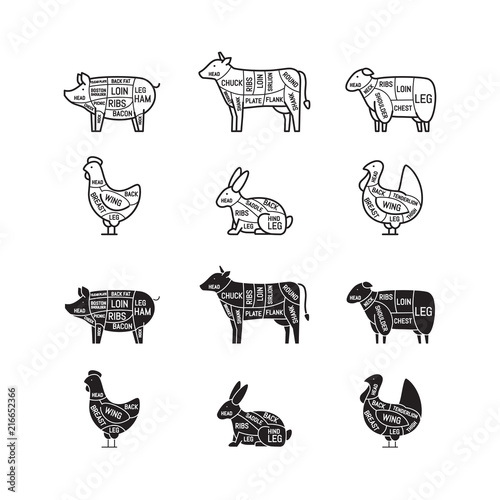 Diagrams for butcher shop. Meat cuts. Animal silhouette, pig, cow, lamb, chicken, turkey, rabbit. Vector illustration.