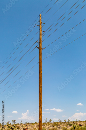 A telegraph pole in the Arizona desert